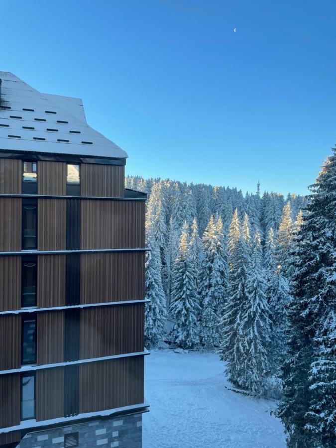 Woodside Apartment 431, Kopaonik - One Separate Bedroom 35M2- Free Parking & Spa Bagian luar foto